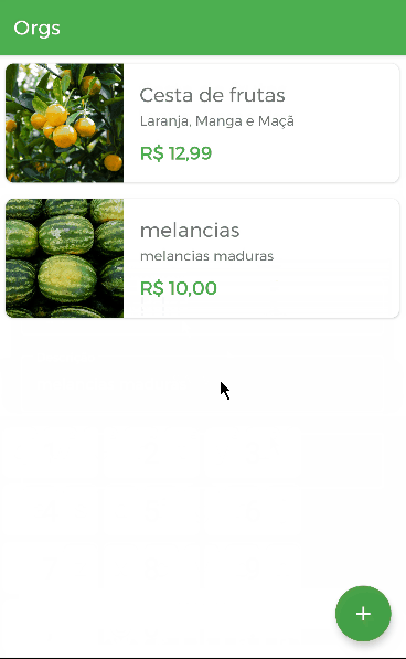 Na imagem há uma um print de uma tela do aplicativo Orgs. Na parte superior do app, há uma barra na cor verde em que se lê o título “Orgs”. A seguir, há uma lista com dois itens chamados de “cesta de frutas” e “melancias”. Abaixo de “cesta de frutas”, podemos ler os dizeres “laranja, banana e maçã''. Abaixo do item “melancias”, consta o dizer “melancias maduras”. No canto inferior direito da tela do app, há um botão de cor verde em formato circular que contém um ícone de soma.