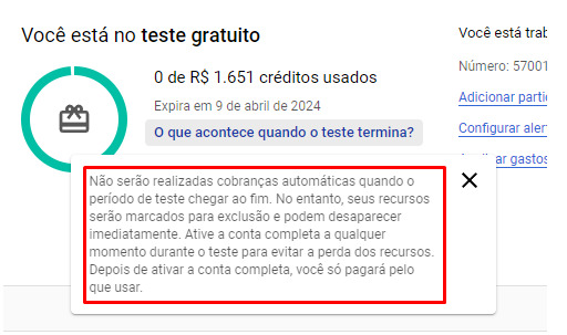 Tela com os dados relacionados com o teste gratuito mostrando os créditos em reais e a data de expiração do teste. Destaque para o aviso que nenhuma cobrança será efetuada desde que o usuário permita isso