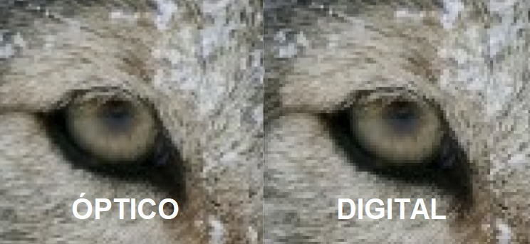 Duas imagens de um olho de um animal. Na primeira, temos a captação via zoom óptico e na segunda, digital.