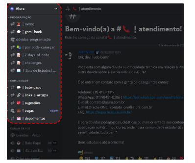 A imagem representa a tela do discord mostrando os canais de texto.