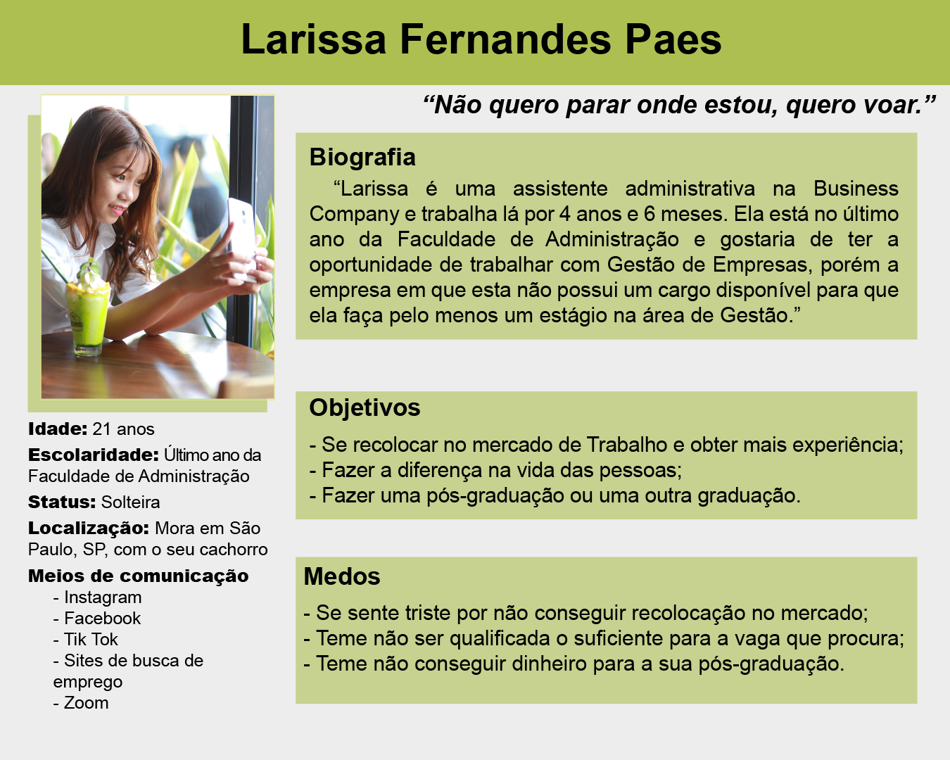 quadro com as informações da persona #inset