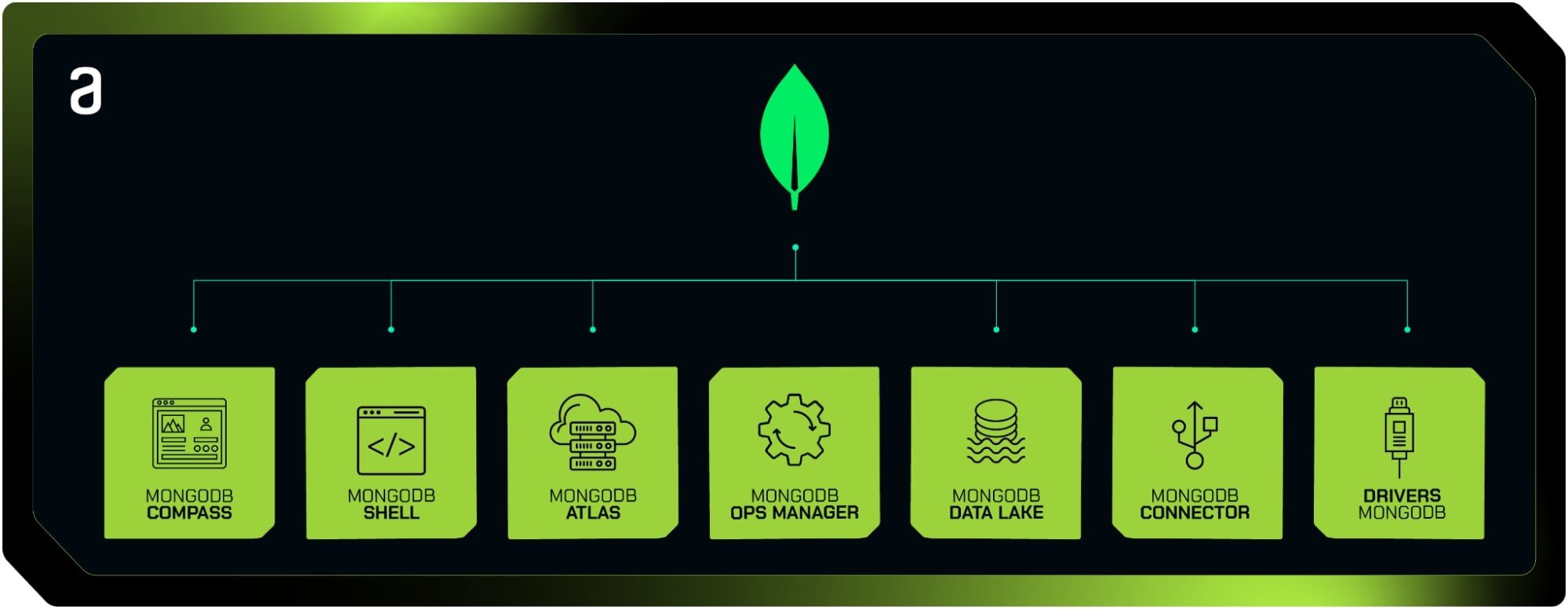 Logo de Mongodb interligado a 7 quadrados escritos nesta ordem "Mongodb Compass", "Mongodb Shell", "Mongodb Atlas", "Mongodb Ops Manager", "Mongodb Data Lake", "Mongodb Connector" e "Drivers Mongodb"